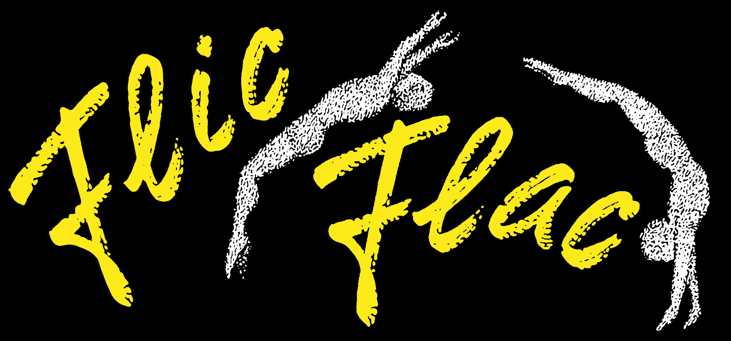 Flic Flac Tour GmbH