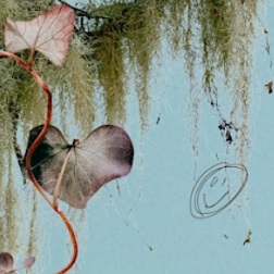 CITY CARD Angebotsbild