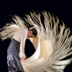 CITY CARD Angebotsbild