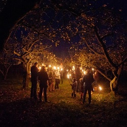 CITY CARD Angebotsbild