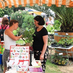 CITY CARD Angebotsbild