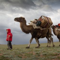 CITY CARD Angebotsbild