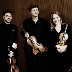 CITY CARD Angebotsbild