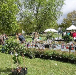 CITY CARD Angebotsbild