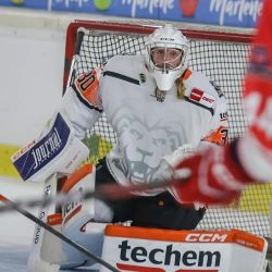 CITY CARD Angebotsbild