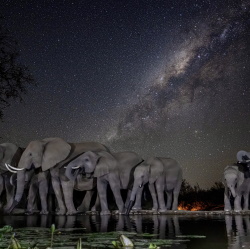 CITY CARD Angebotsbild