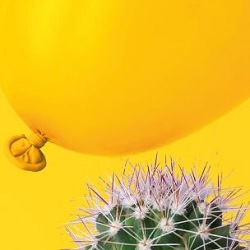 CITY CARD Angebotsbild