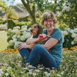 CITY CARD Angebotsbild