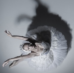 CITY CARD Angebotsbild